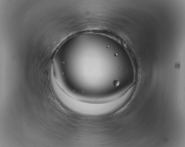 X0000110911353200907021425