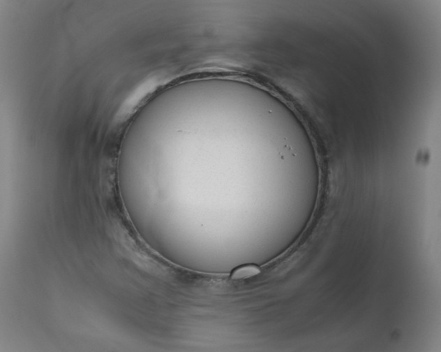 X0000110911355200907021425