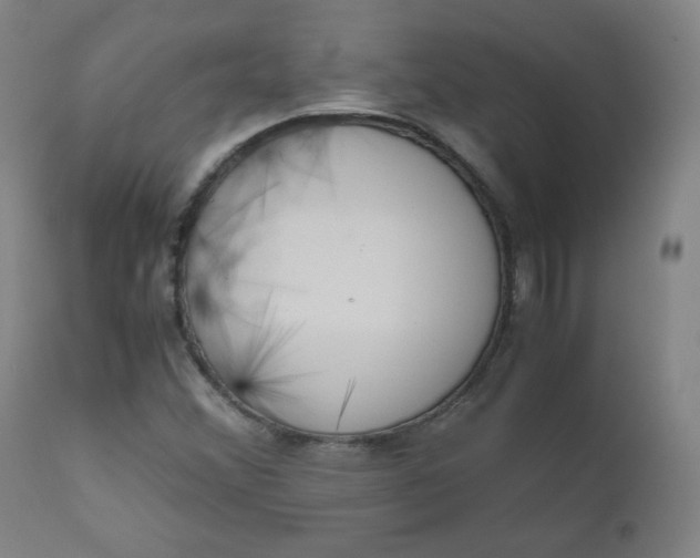 X0000110911356200907021425