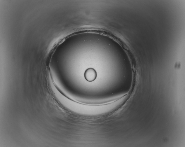 X0000110911357200907021425