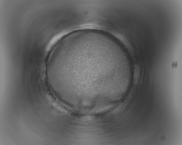 X0000110911358200907021425