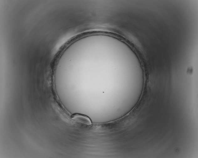 X0000110911360200907021425