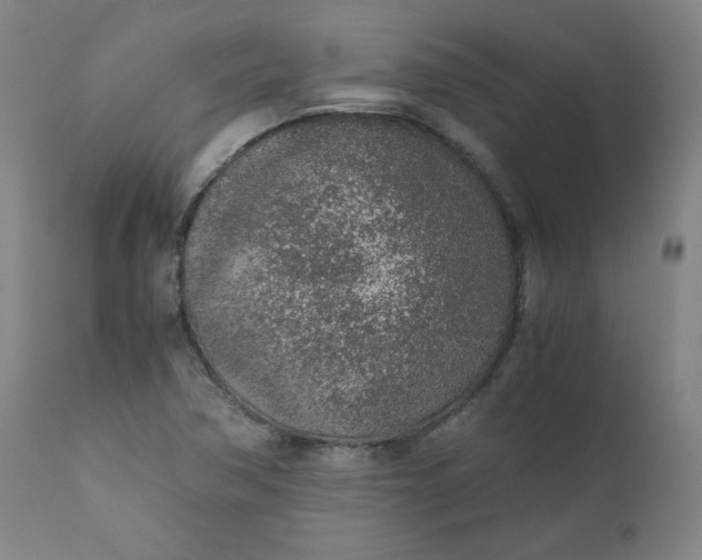 X0000110911362200907021425