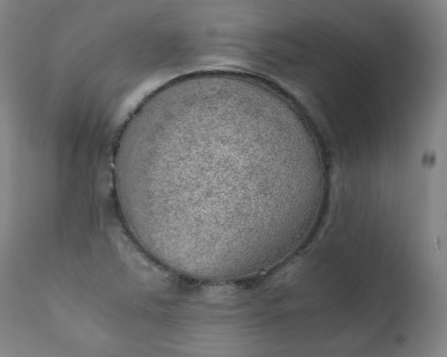 X0000110911363200907021425