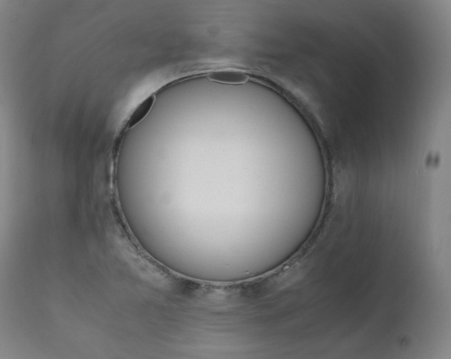 X0000110911365200907021425