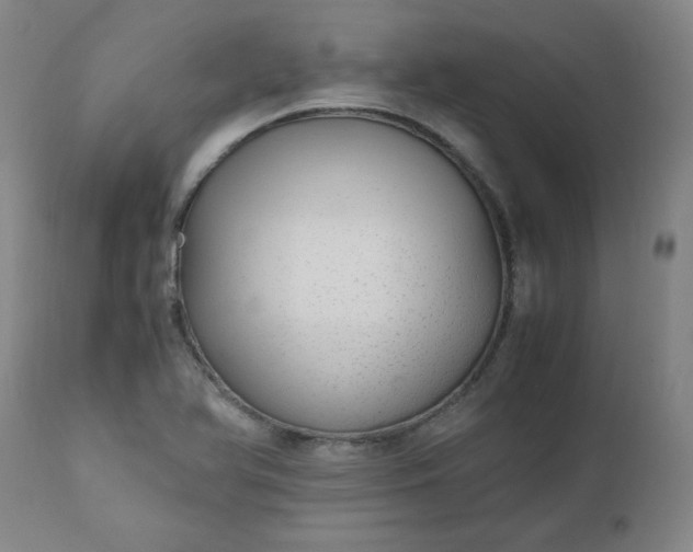 X0000110911366200907021425