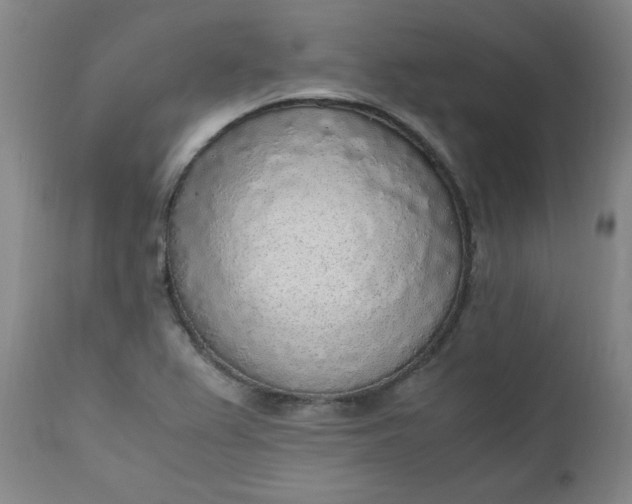 X0000110911367200907021425