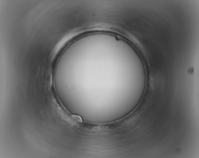 X0000110911368200907021425