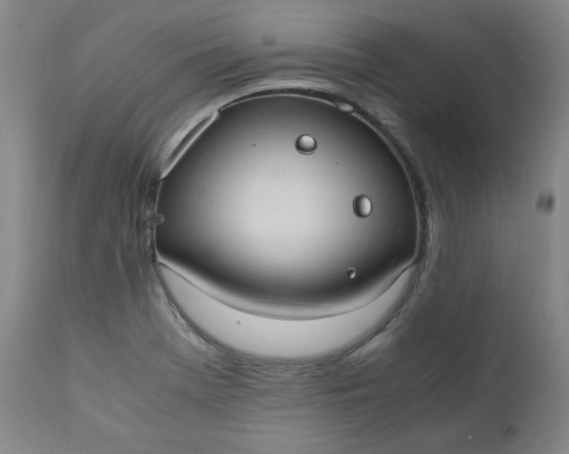 X0000110911369200907021425