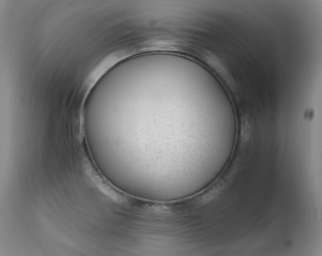 X0000110911370200907021425