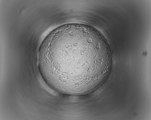 X0000110911371200907021425