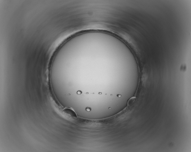 X0000110911372200907021425