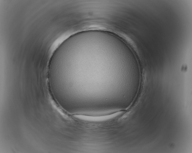 X0000110911373200907021425