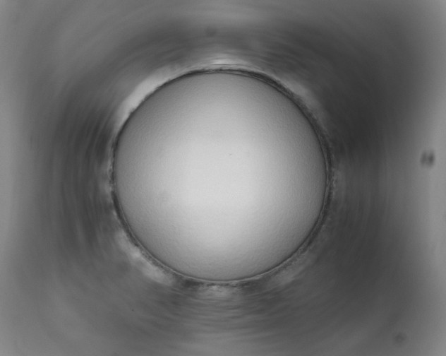 X0000110911374200907021425