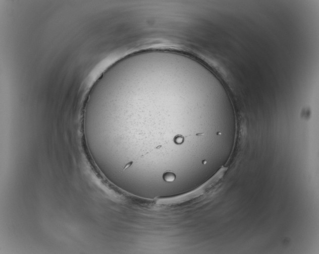 X0000110911375200907021425