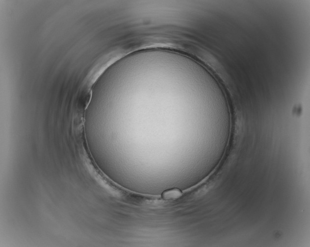 X0000110911377200907021425