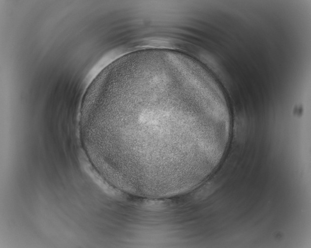 X0000110911378200907021425