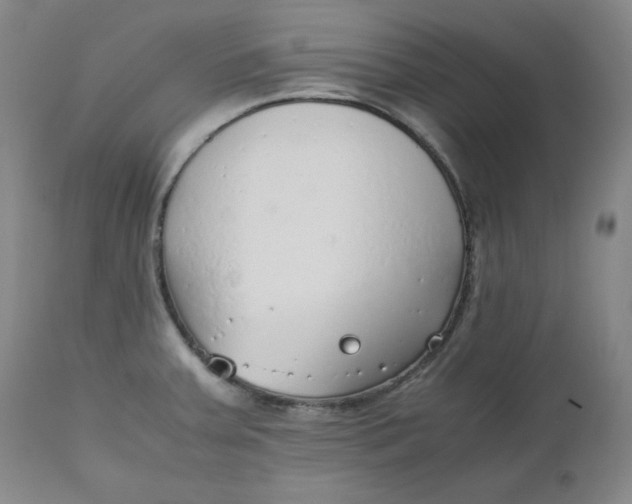 X0000110911379200907021425