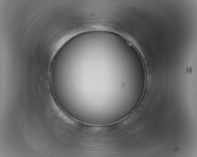 X0000110911381200907021425