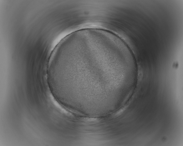 X0000110911382200907021425