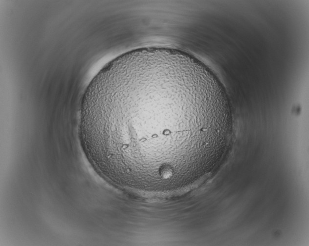 X0000110911383200907021425