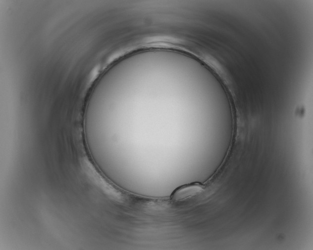 X0000110911384200907021425