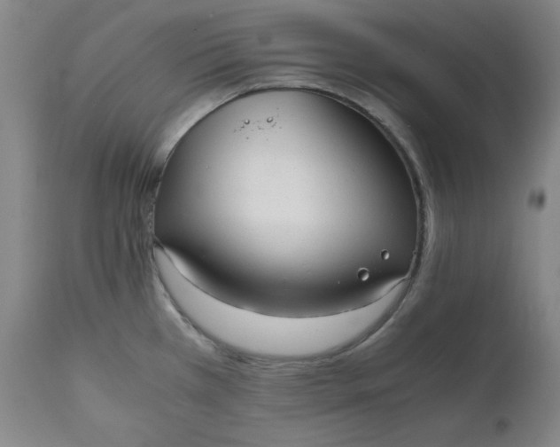 X0000110911385200907021424