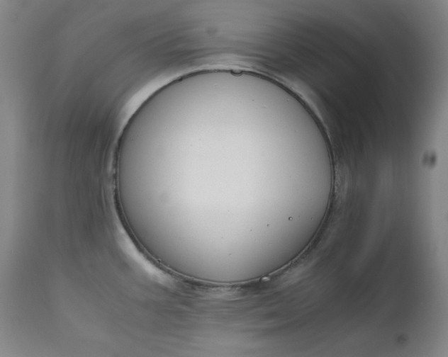 X0000110911387200907021424