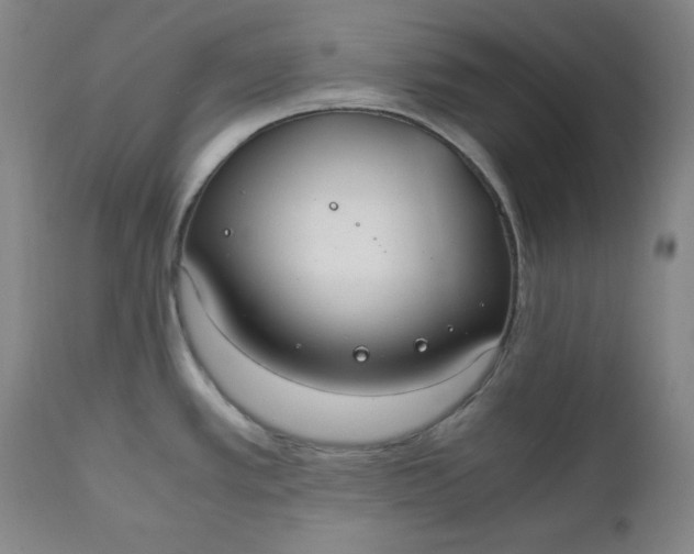 X0000110911389200907021424