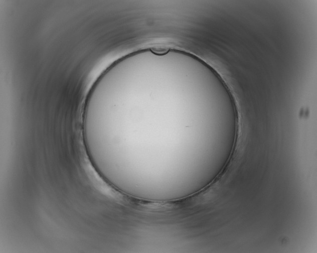 X0000110911392200907021424