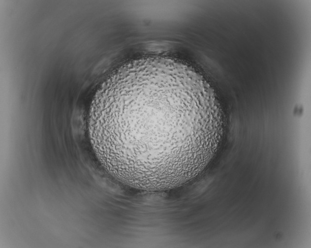 X0000110911394200907021424