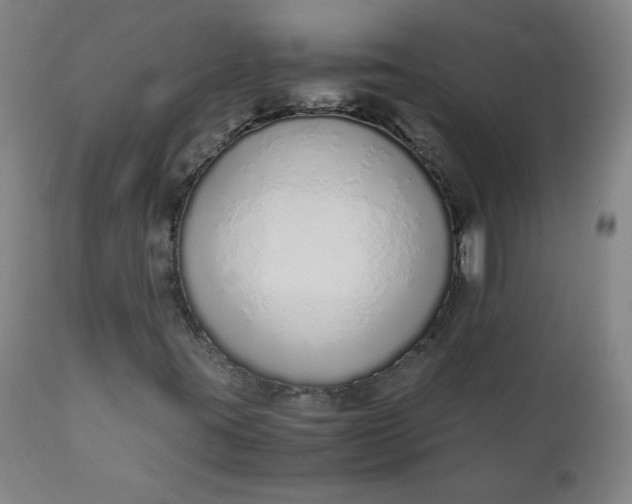 X0000110911395200907021424