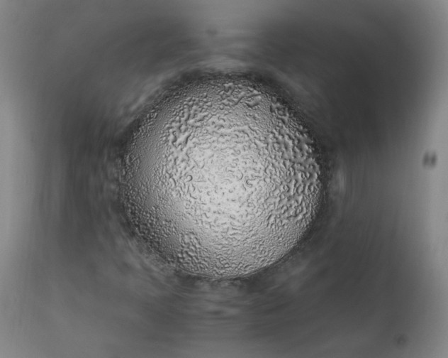 X0000110911397200907021424