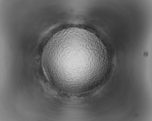 X0000110911398200907021424