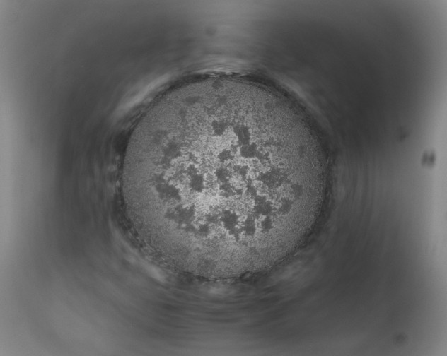 X0000110911399200907021424