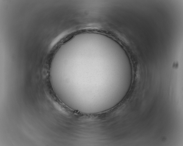 X0000110911400200907021424