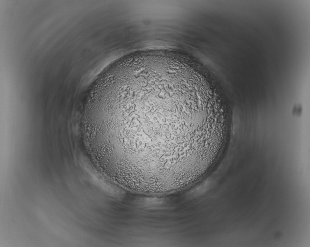 X0000110911401200907021424