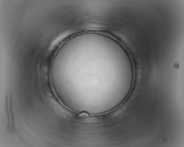 X0000110911402200907021424