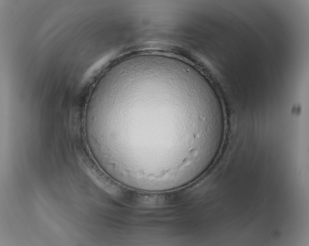 X0000110911403200907021424