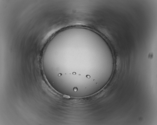 X0000110911404200907021424