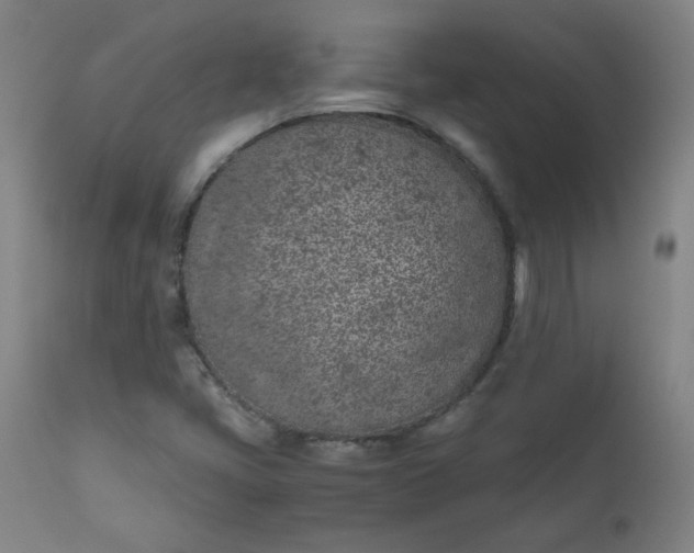 X0000110911405200907021424