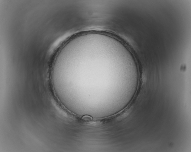 X0000110911406200907021424