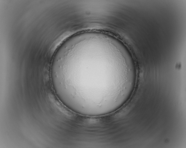 X0000110911409200907021424