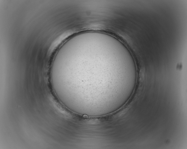 X0000110911410200907021424