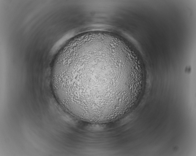 X0000110911411200907021424