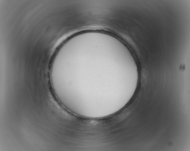 X0000110911412200907021424