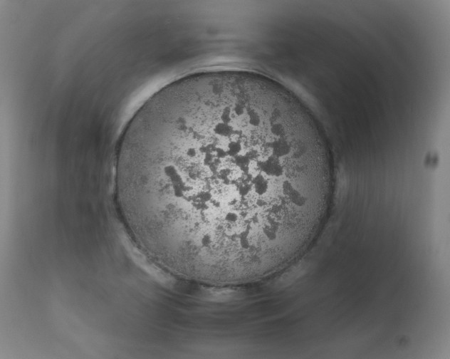 X0000110911413200907021424