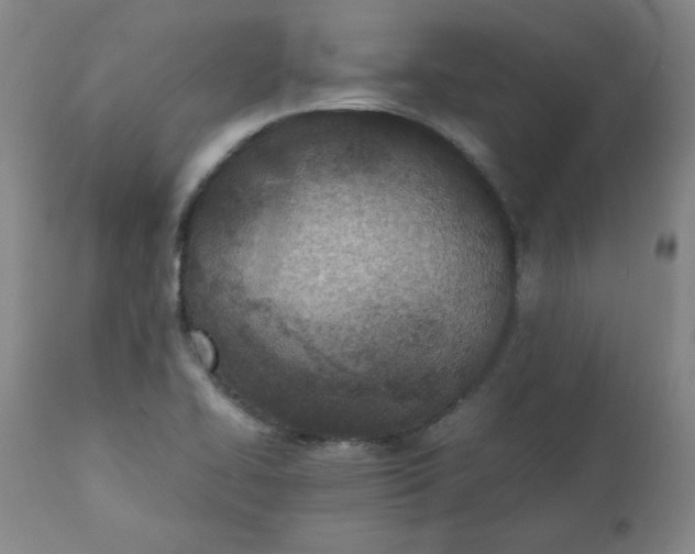 X0000110911414200907021424