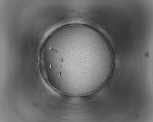 X0000110911416200907021424