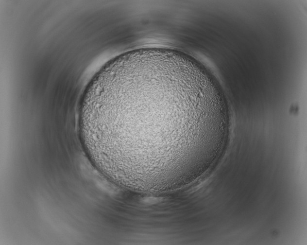 X0000110911419200907021424